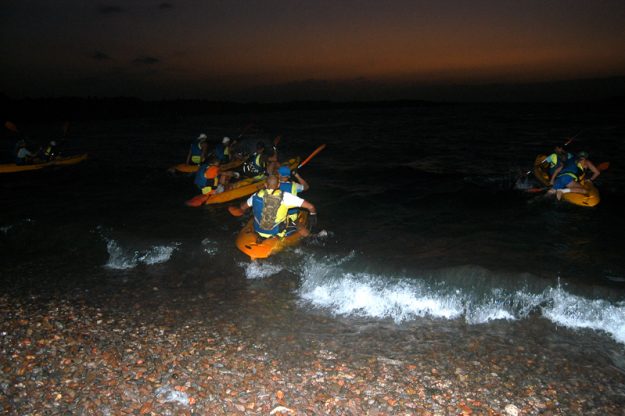 22. STAGE DECOUVERTE ENTREPRISE ORIENTATION, AGUERRISSEMENT ET LEADER SHEEP2