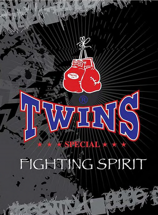 Twins Logo